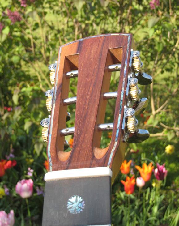 Les guitares d'un luthier aussi amateur que passionné ... - Page 2 24042010%20001
